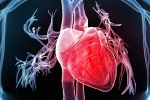 Rối loạn nhịp tim ảnh hưởng thế nào tới người bị u trung biểu mô?
