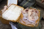 Thanh Hóa: Hơn nửa tấn thịt lợn sữa “làm thượng đế” trên xe khách