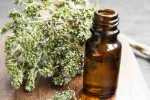 8 lợi ích sức khỏe của tinh dầu cỏ xạ hương