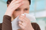 Triệu chứng viêm mũi dị ứng có thể được cải thiện nhờ probiotics  