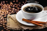 Caffeine giúp ngăn ngừa sa sút trí tuệ?