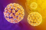 Virus HPV khi nào thì gây hại?