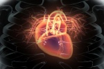 NASA gợi ý kết hợp 5 xét nghiệm để dự đoán nguy cơ bệnh tim mạch