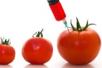 Ưu nhược điểm của thực phẩm GMO từ góc độ ăn chay