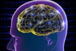 Động kinh do khối u não điều trị thế nào?