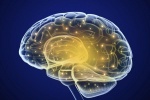 Viêm màng não: Căn bệnh có thể gây tử vong cần lưu ý