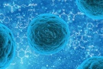 Liệu pháp tế bào gốc: 5 khám phá mới trong việc điều trị bệnh