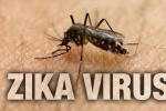 Vì sao sốt xuất huyết, Zika lại bùng phát ở phía Nam?