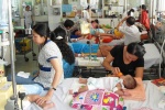 Hà Nội: Gần 700 người mắc mắc sốt xuất huyết từ đầu năm đến nay