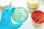 Loại kháng sinh cực mạnh có thể chống lại các loại siêu vi khuẩn