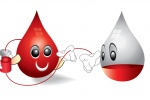 Có nên hiến máu khi bị tăng huyết áp không?