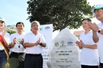 Vinamilk trồng hơn 11 vạn cây xanh cứu rừng ven biển Bà Rịa - Vũng Tàu