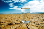 Infographic: Làm thế nào để biết cơ thể bạn đang mất nước?