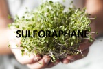 Sulforaphane từ mầm bông cải xanh sẽ thay thế thuốc đái tháo đường?