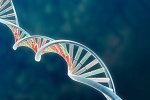 Nghiên cứu đột biến di truyền mới giúp ngăn ngừa bệnh mạch vành 