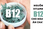 Thực phẩm nào giàu vitamin B12 tốt cho người ăn chay?