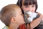 Có nên nuôi thú cưng trong nhà khi trẻ bị hen suyễn?