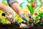 Muốn giảm nguy cơ ung thư vú, hãy làm vườn!