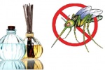 Tất tần tật cách đuổi muỗi, trị muỗi, phòng sốt xuất huyết