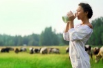 Loại sữa bò bạn vẫn uống mỗi ngày liệu có vô hại?