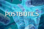 Postbiotics cũng quan trọng như lợi khuẩn và chất xơ hòa tan