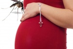 Phụ nữ mang thai có nên dùng thuốc chống muỗi?