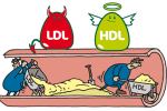 Nguyên nhân nào làm suy giảm cholesterol HDL?