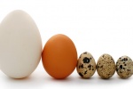 Những loại trứng vừa ngon vừa tốt cho sức khỏe