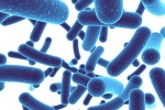 Tại sao chúng ta nên bổ sung probiotic?