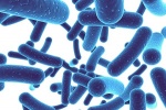 Probiotics và 5 điều bạn cần biết khi bổ sung lợi khuẩn