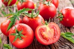 Chuyên gia chỉ ra những lợi ích kỳ diệu của quả cà chua