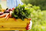 Tại sao bạn nên cân nhắc sử dụng thực phẩm hữu cơ? 