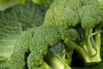 Bông cải xanh giúp đường ruột khỏe mạnh hơn