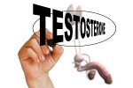 Ngoài tinh hoàn, cơ quan nào cũng chịu trách nhiệm sản xuất testosterone?
