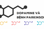 Thiếu dopamine - nguyên nhân chính gây bệnh Parkinson