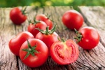 10 lợi ích từ cà chua