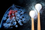 Ăn quá nhiều đường có thể kích thích tế bào ung thư phát triển?