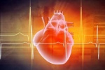 Nghiên cứu: Hướng đi mới trong điều trị bệnh suy tim 
