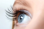 Bạn biết gì về biến chứng khủng khiếp của đái tháo đường lên mắt?