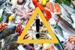 Cẩn thận với 5 nguy hiểm trong các loại hải sản