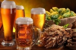 Bia và những lợi ích sức khỏe đáng ngạc nhiên