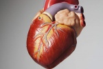 12 căn bệnh nguy hiểm có thể gây suy tim sung huyết