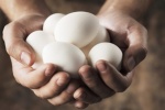 Có nên ăn trứng khi mắc bệnh đái tháo đường?