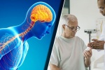 Lượng calci trong não có thể là nguyên nhân dẫn tới bệnh Parkinson