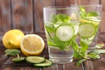 Thêm những nguyên liệu này vào nước uống giúp giảm cân hiệu quả hơn