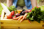 Thực phẩm hữu cơ có an toàn và bổ dưỡng hơn thực phẩm tự nhiên? 