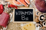 Bổ sung vitamin B12 có thể giúp làm chậm tiến triển của bệnh Parkinson