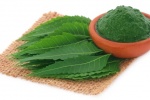 Bạn đã biết cách làm đẹp da và tóc bằng lá neem chưa?