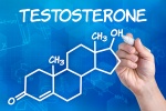 Testosterone - không chỉ là hormone sinh dục nam!