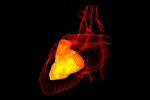Đã nong van tim hai lần, nên làm gì để kiểm soát bệnh van tim?